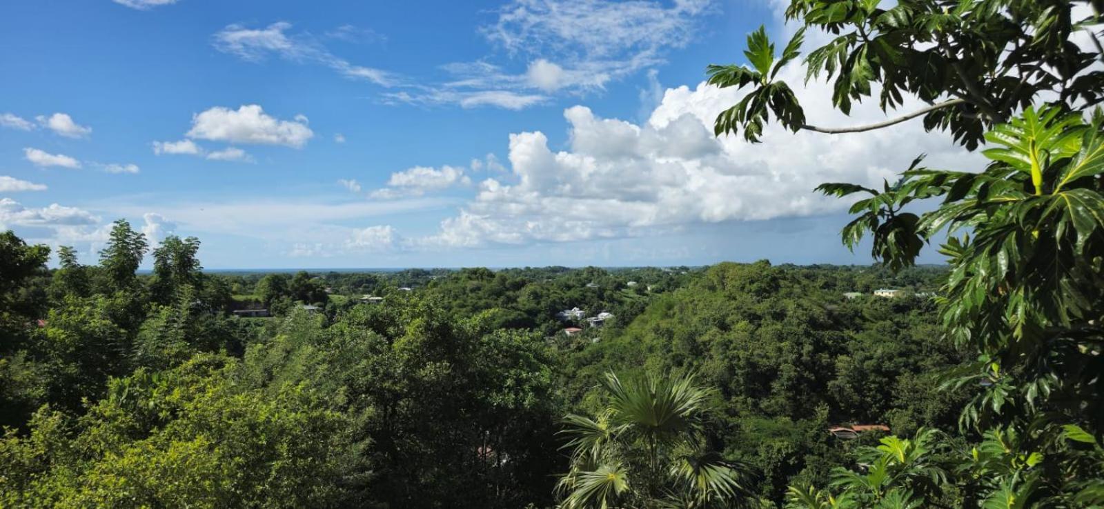 Maison Du Soleil Les Abymes Bagian luar foto